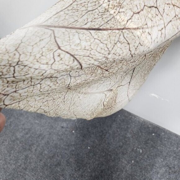 French Bazaar Womens Wearable Art Tunic Top Large Tree Print Embellished Casual - Picture 6 of 9